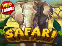 Safari